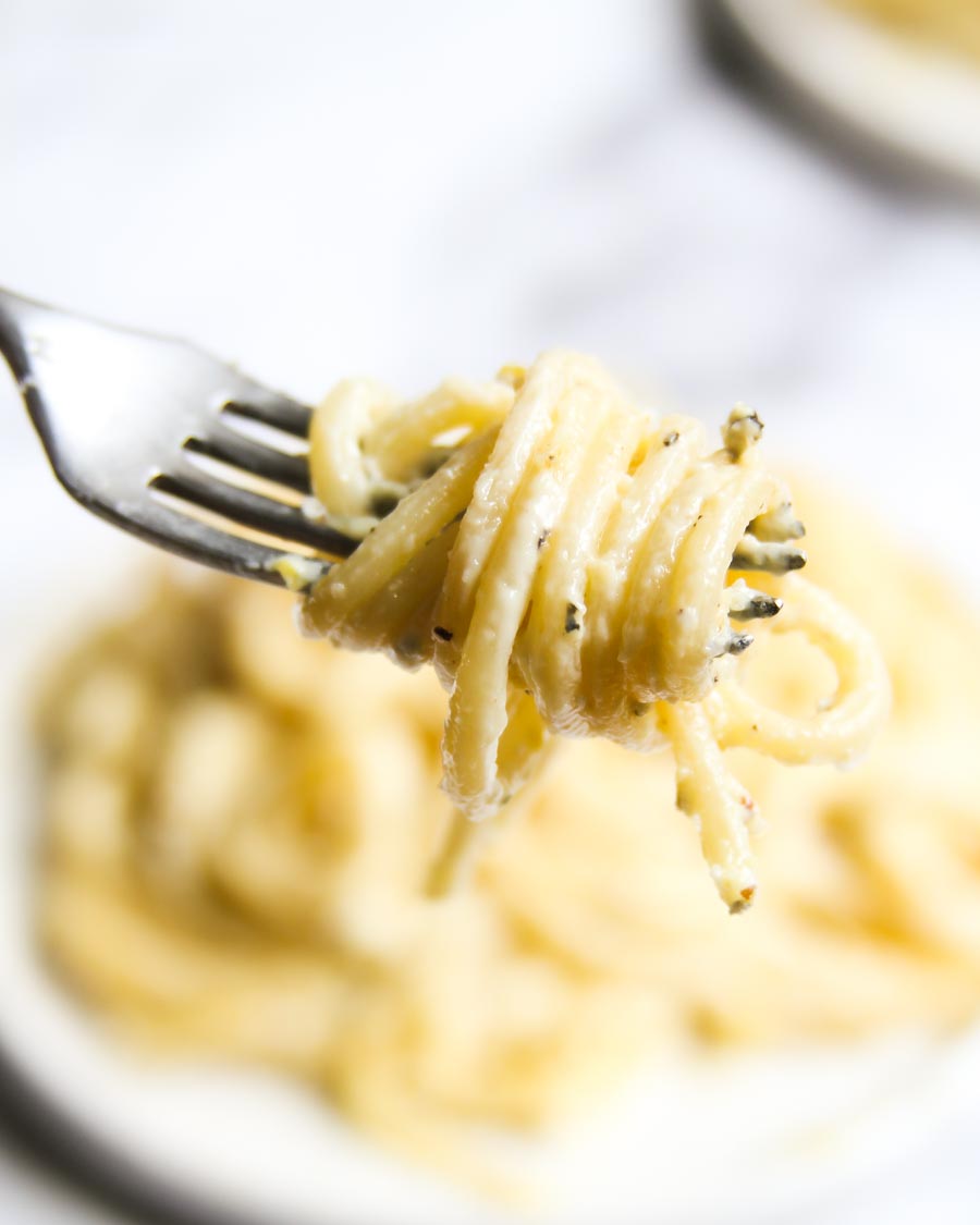 Spaghetti twirled on a fork