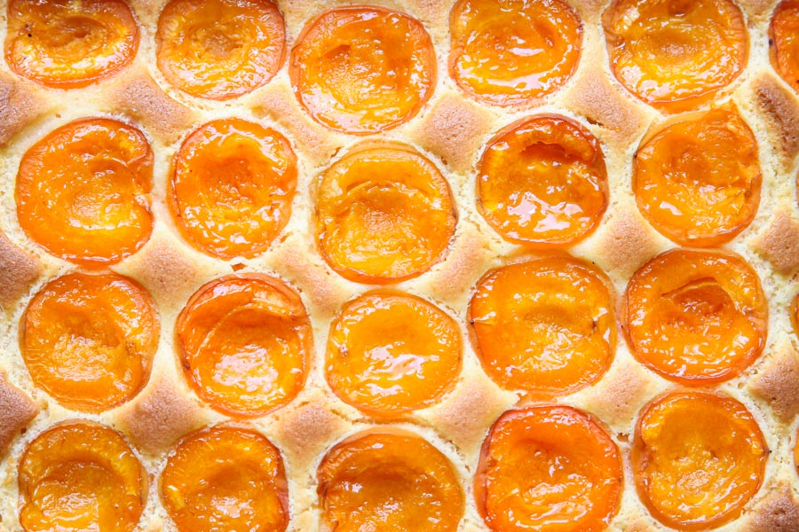 Apricot cake after baking